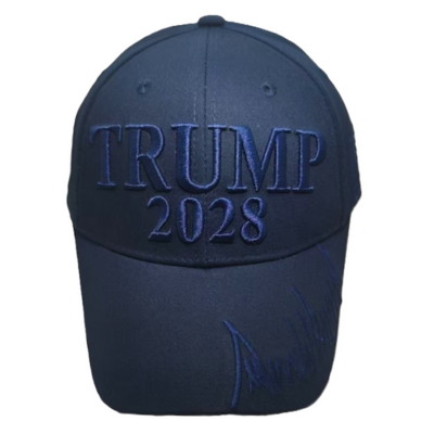 Trump 2028 Blue Cap